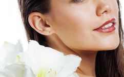 倒霉熊逃离房间下载